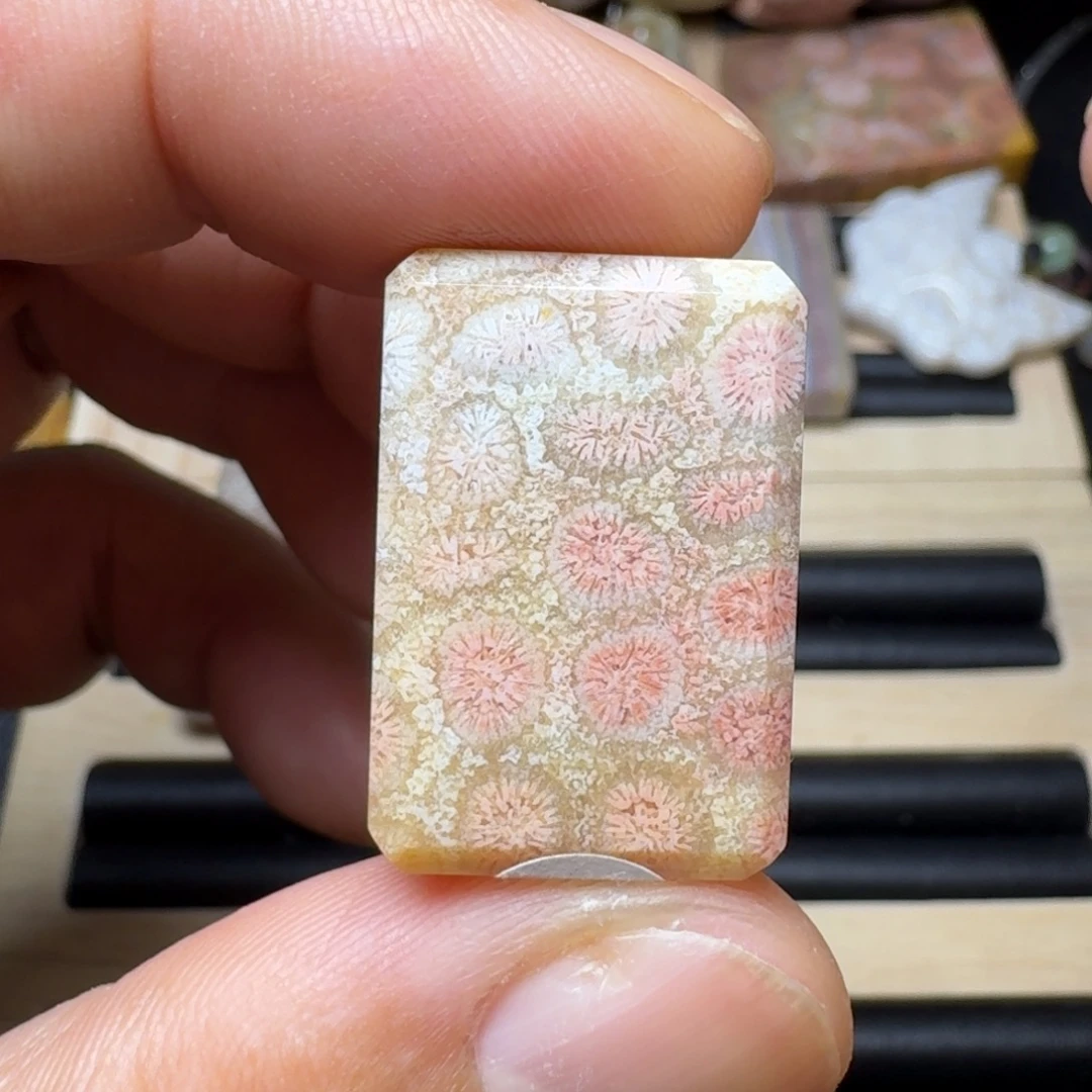 未镶嵌纯天然色有机玉石保真色硅化玉