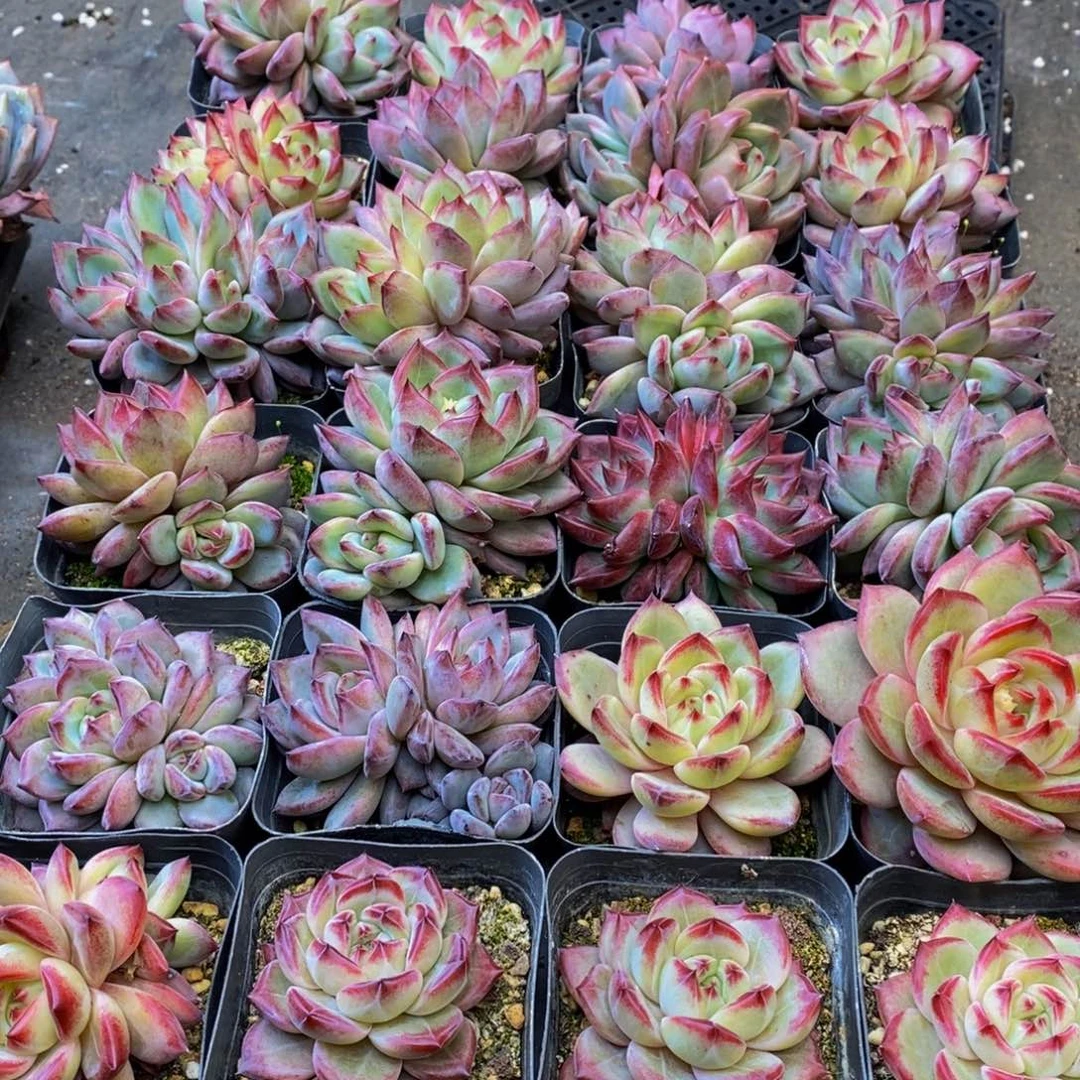 751的人在一起的时候就