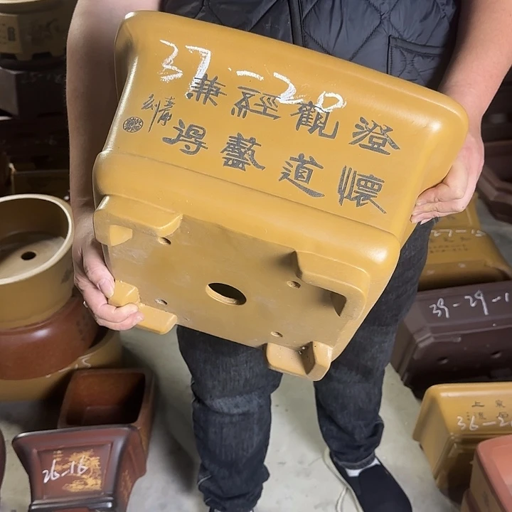 花盆紫砂这是什么