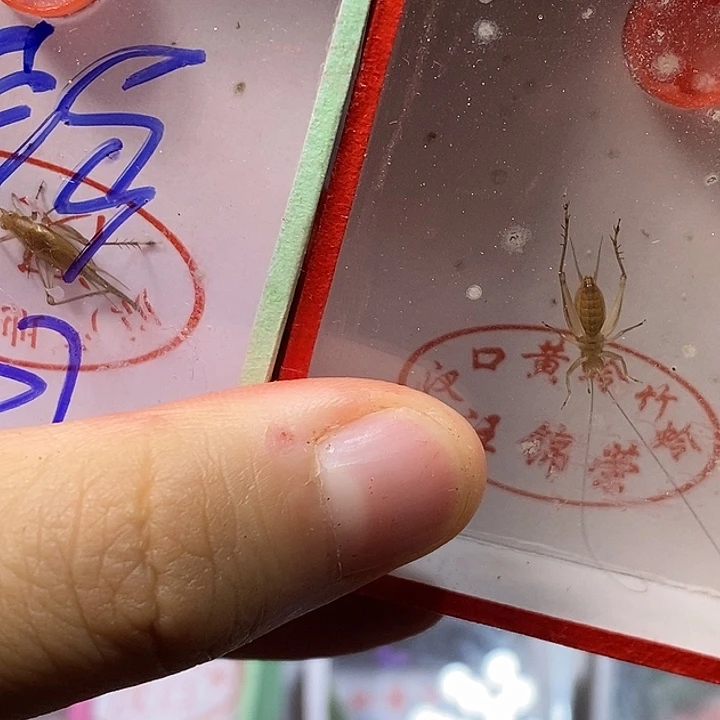 用***5蟋蟀1111147啦啦啦啦啦啦啦