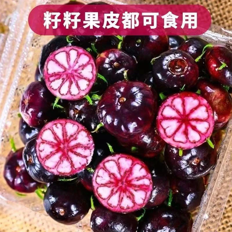 新鲜当季云南红果参蜘蛛果高山稀有水果2025头茬新果上市