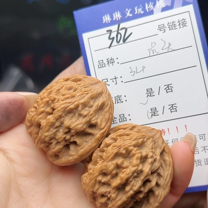 文玩核桃吊坠核桃树362