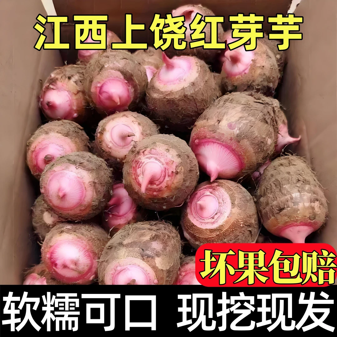 【正宗江西红芽芋】农家新鲜现挖现发精品红芽芋头芋艿粉糯香甜