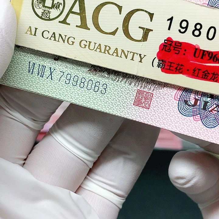 一张一张一张一张一张