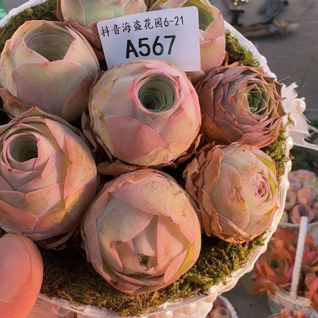 A567 苔藓花篮玫瑰组合