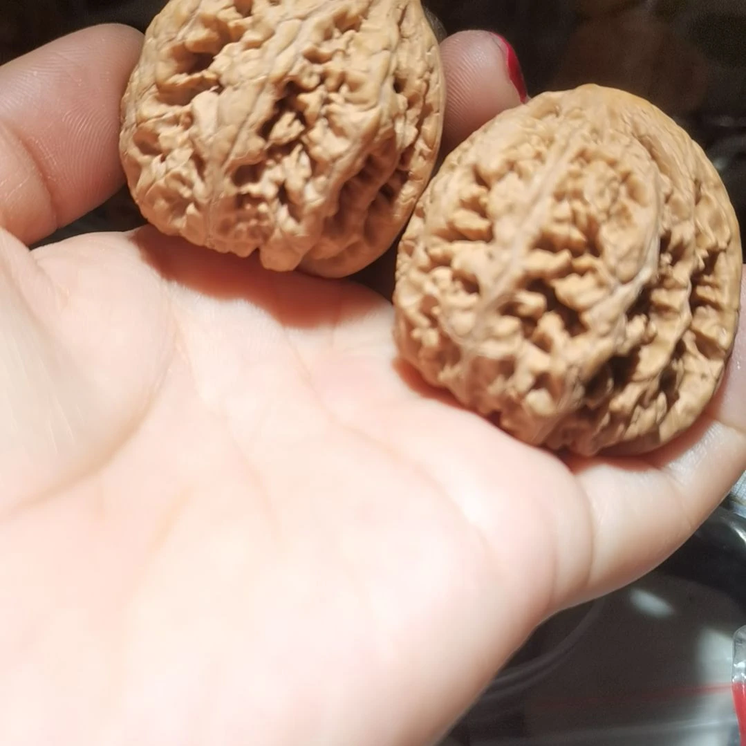 猴头核桃吊坠41粗筋