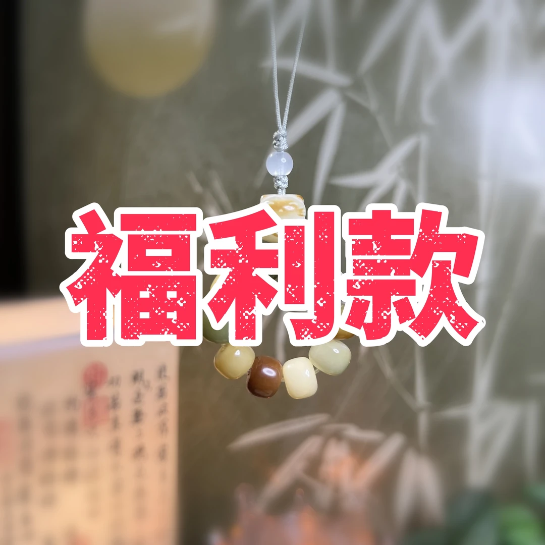 【福利款编号】文玩念珠手串菩提多样性盘玩