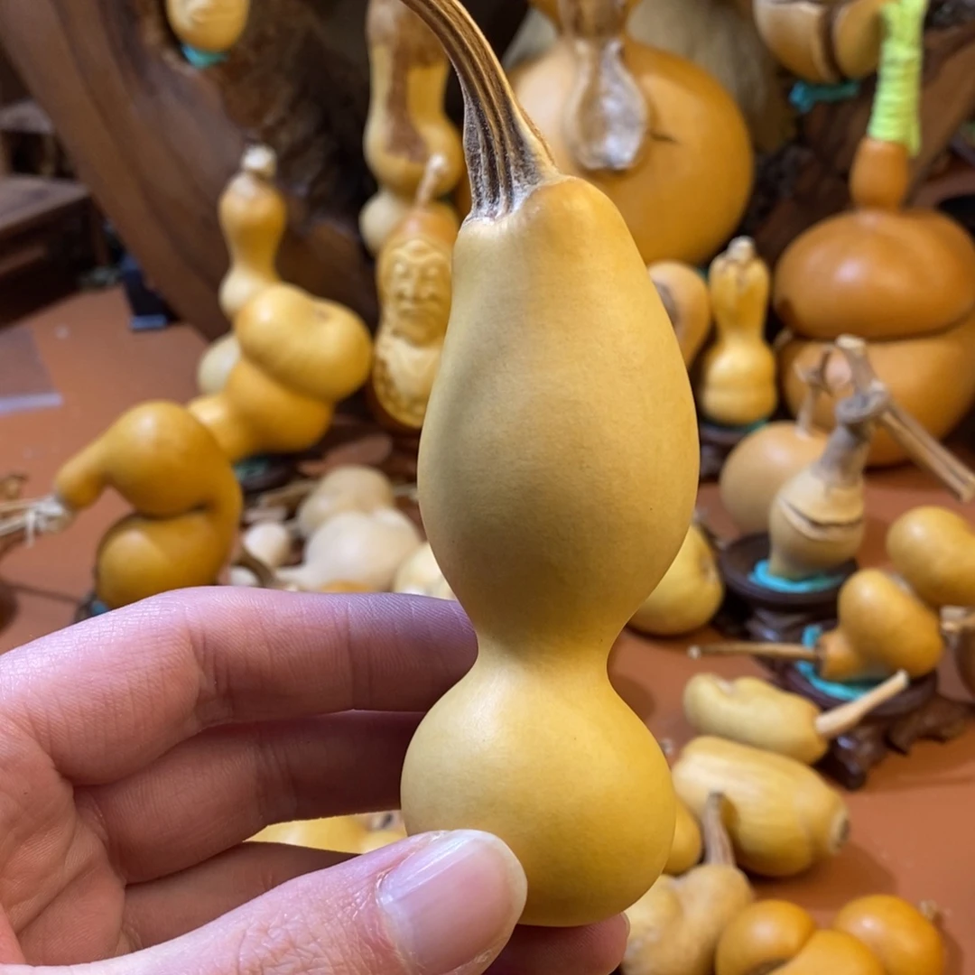 *****哥哥教练教练咯教练经理