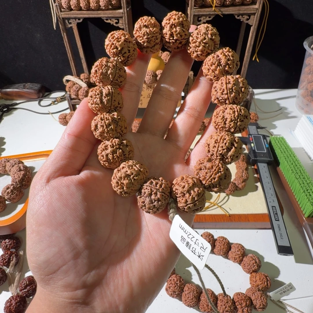 吊坠金刚菩提22尺寸原生态