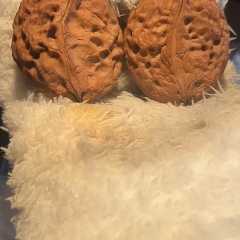 文玩核桃把件牡丹纹半壁差克重带彩41