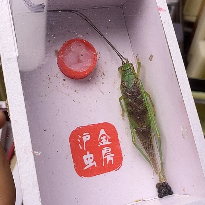 哈哈哈哈哈哈哈哈哈哈哈哈哈哈