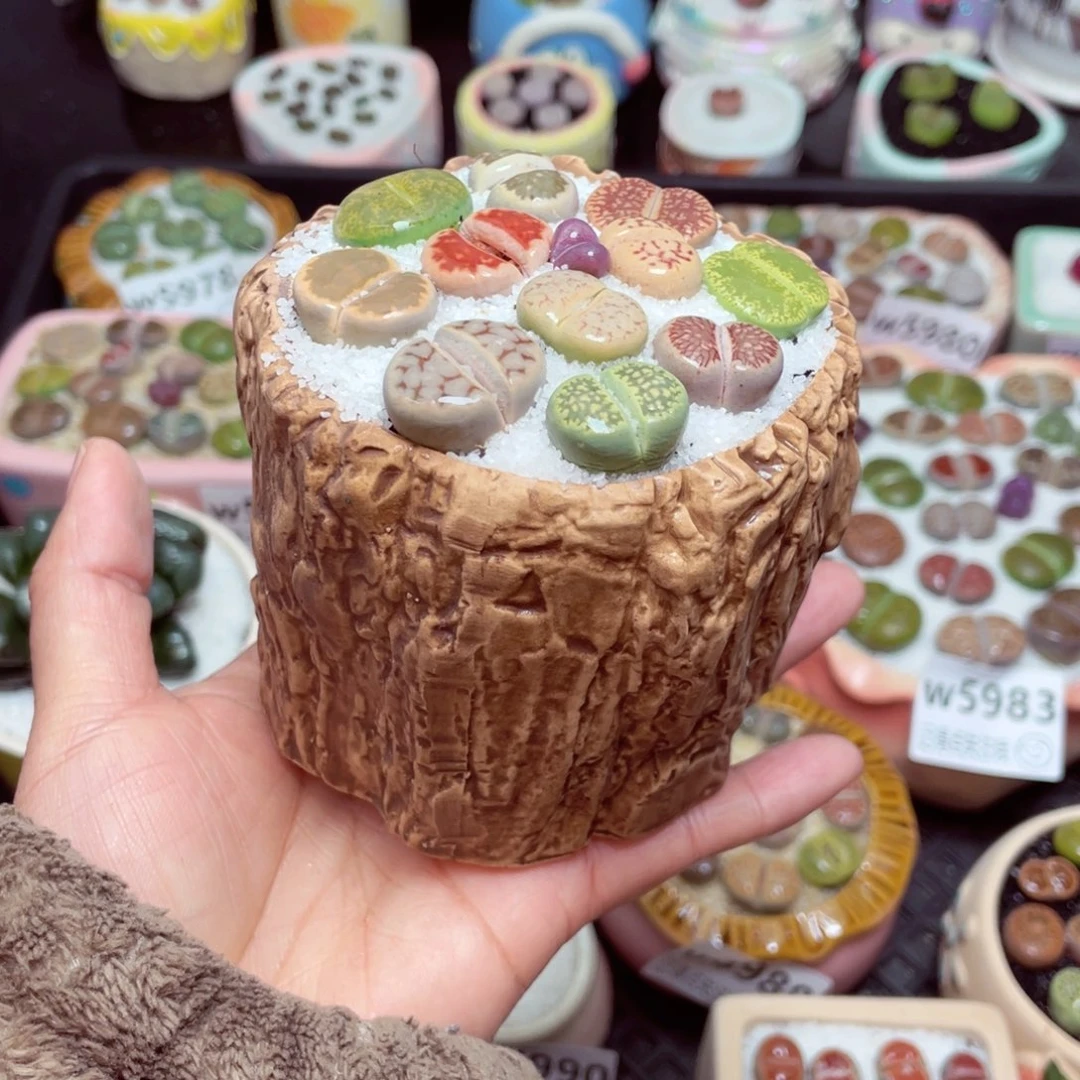 w5993-零下地区拍保温箱-15支持寄养