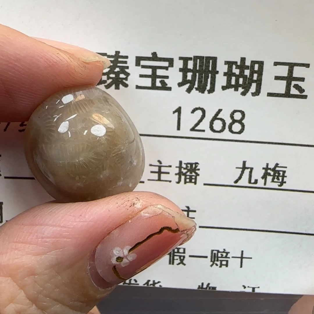 硅化珊瑚（珊瑚玉）未镶嵌颈饰