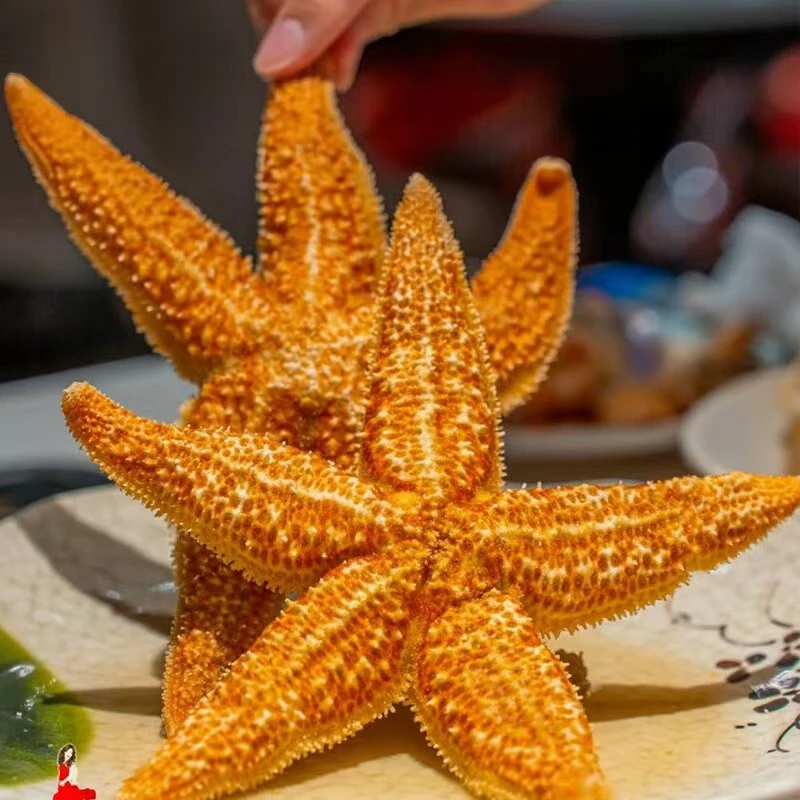 大海星（3/5只左右/斤）快递颠簸偶有断裂掉爪属正常现象介意者慎拍