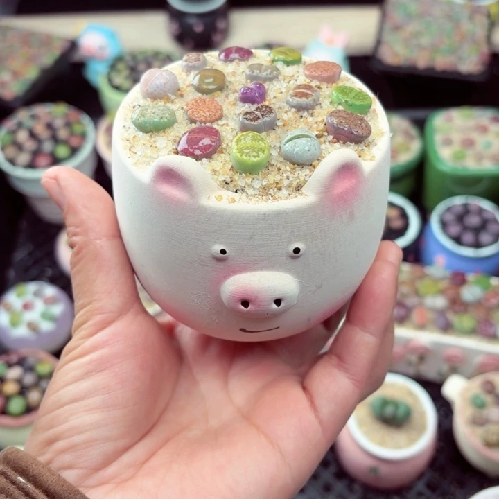 1014零下地区记得拍保温箱