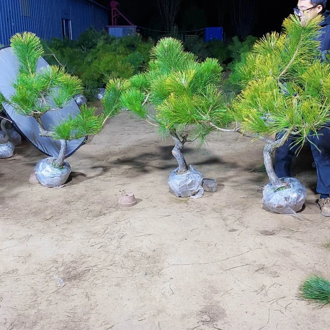 人***过完全开放1111111111111