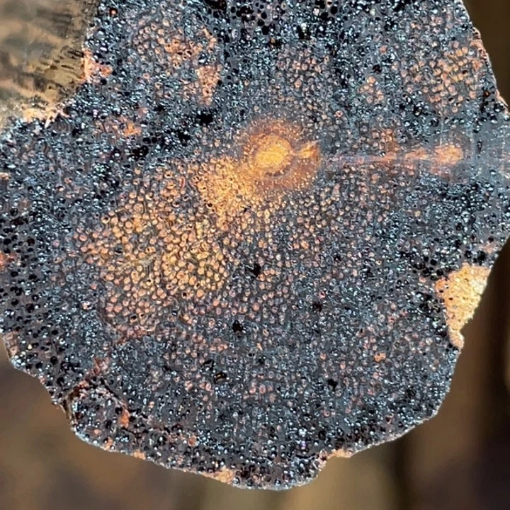 降真香手串/手链定制缅甸小叶降真香