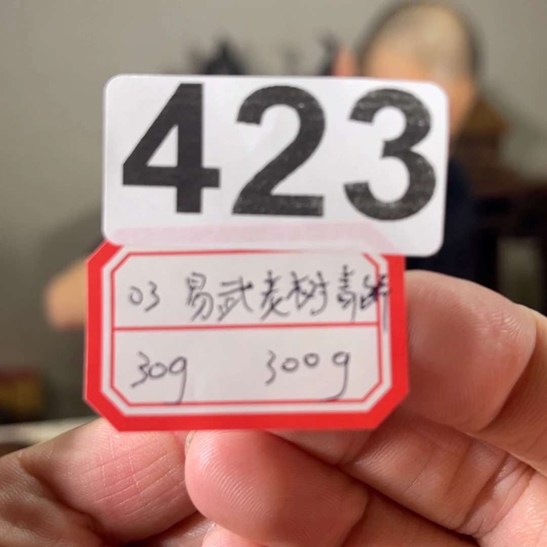 423………………………………………
