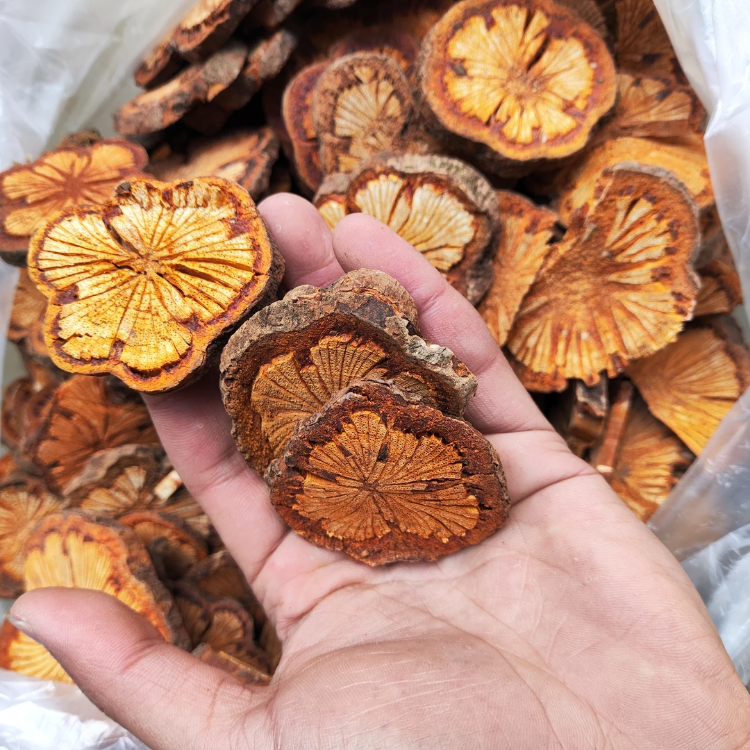 【桖塞通】可搭配黄芪