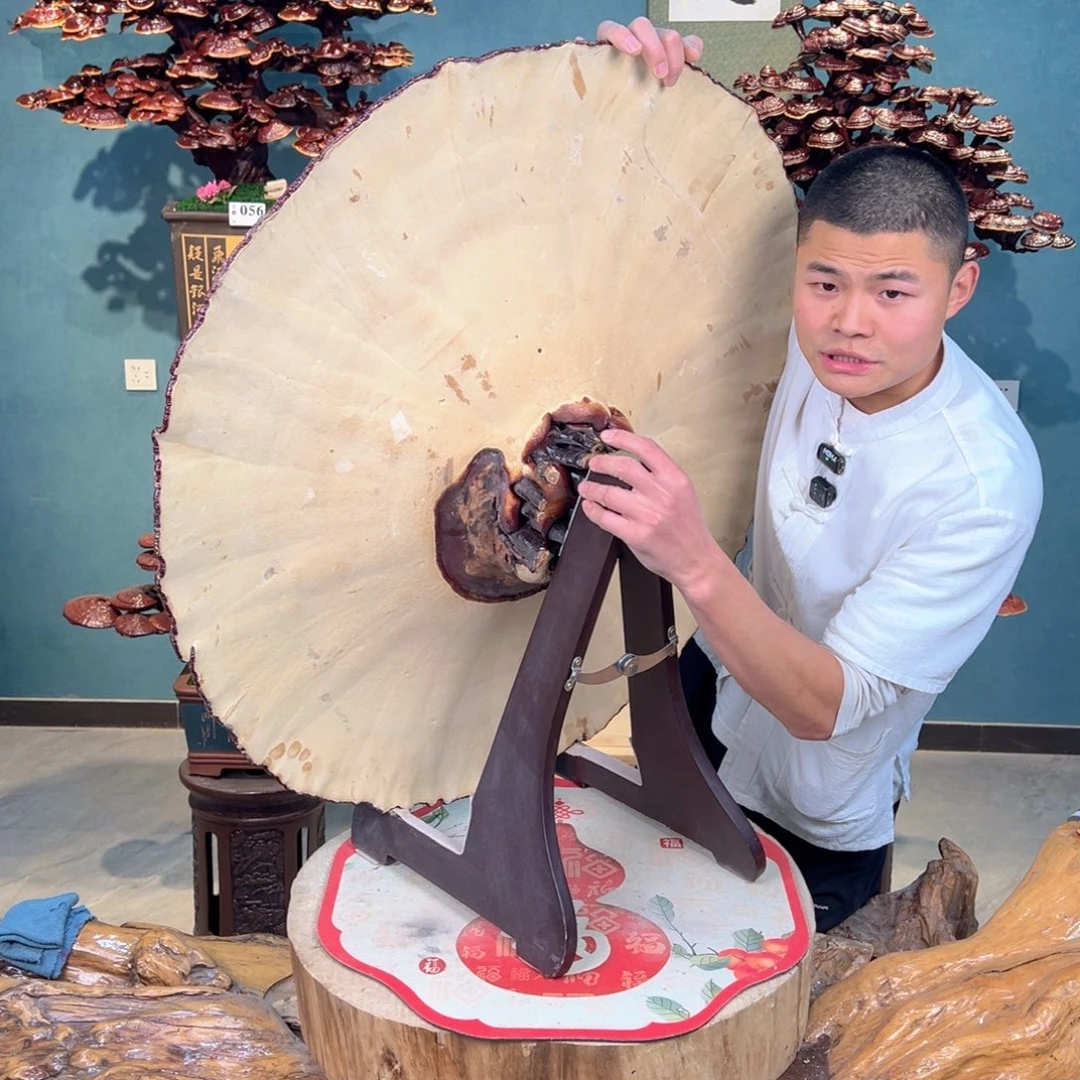 无花朵88888888888