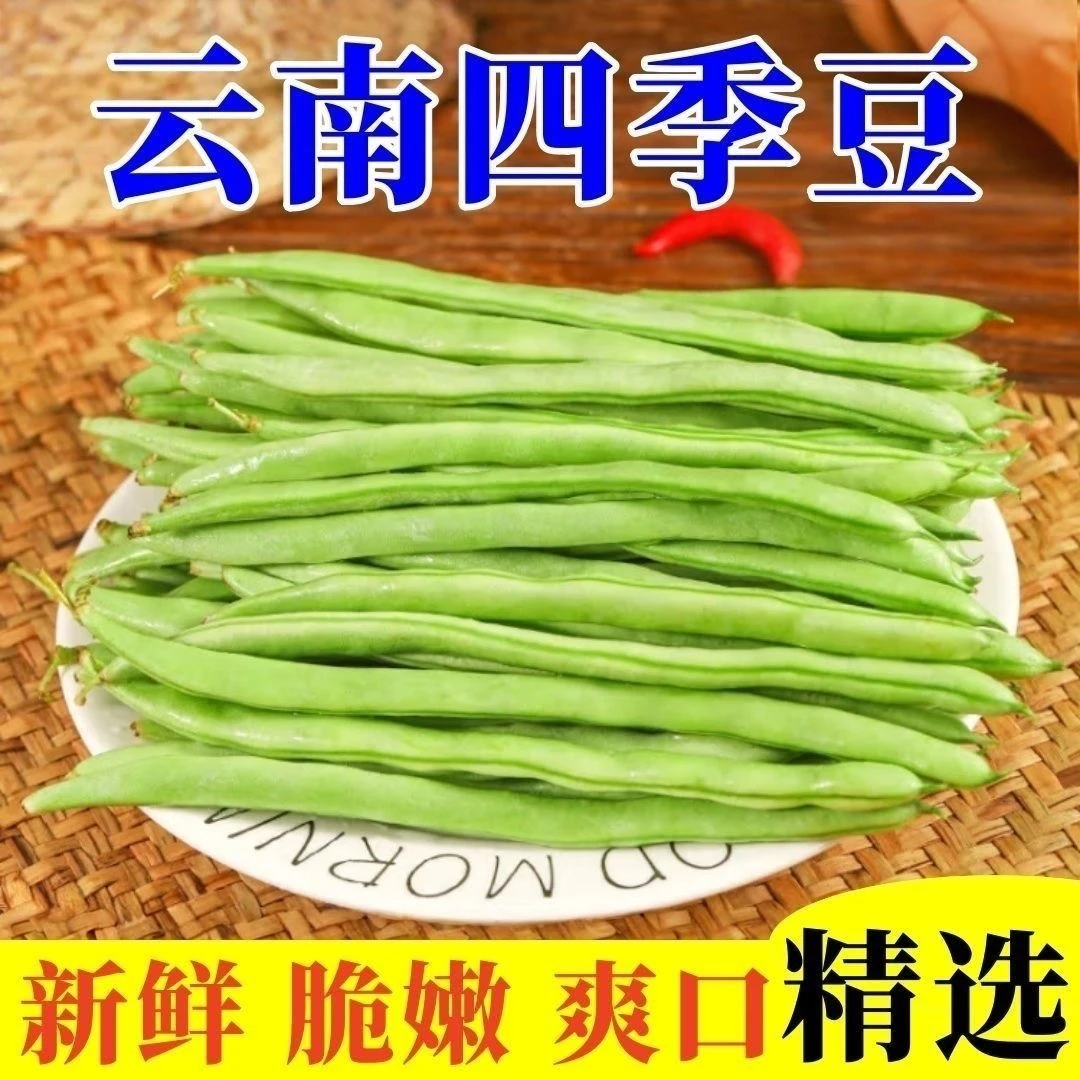 【冷链发货】云南露天农家自种四季豆新鲜现摘脆嫩多汁家常菜食材