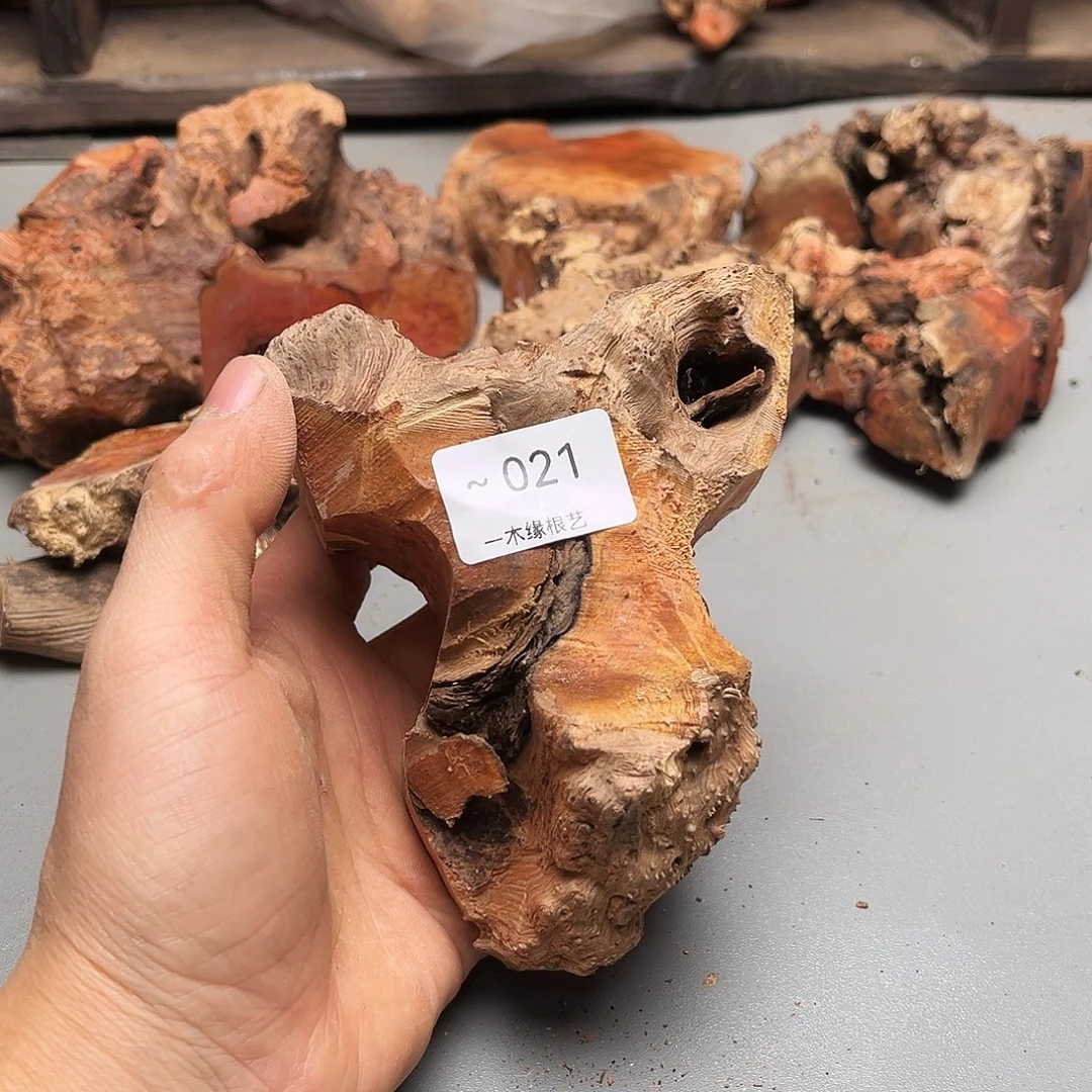 吒***录无花朵0000000000021