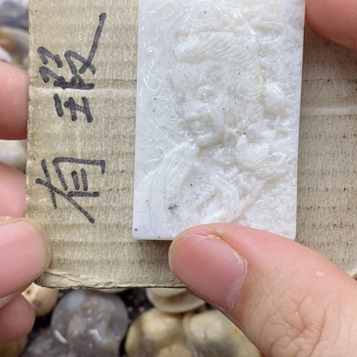 硅化珊瑚（珊瑚玉）未镶嵌颈饰四****