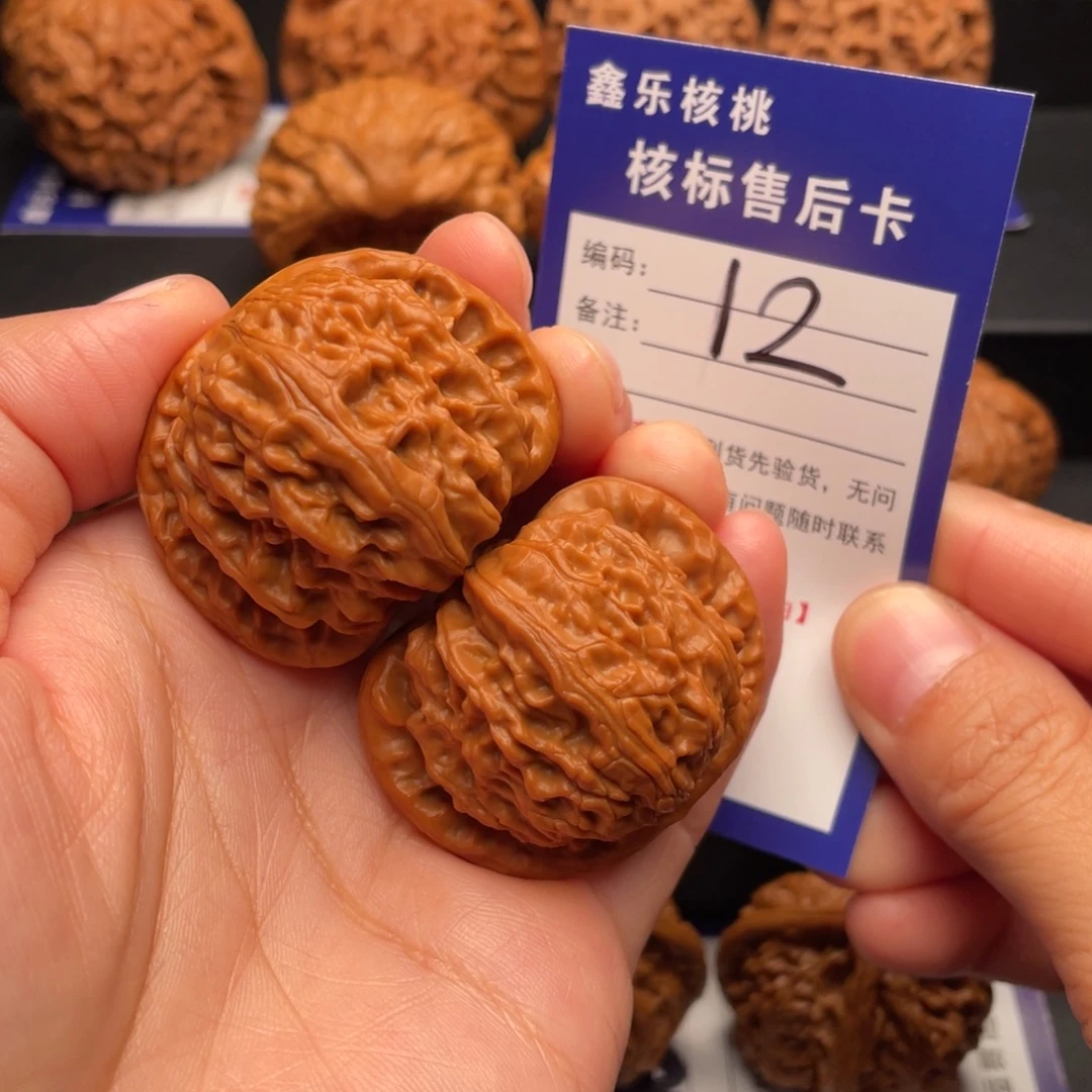 吃***猫文玩核桃把件白狮子42尺12号