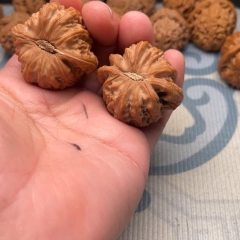 克***天文玩核桃吊坠白狮子