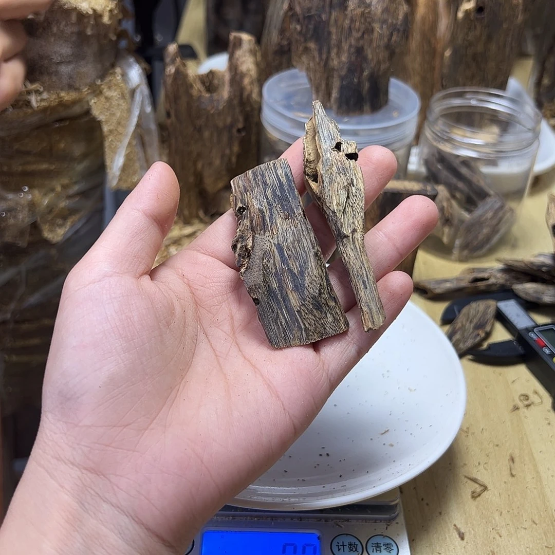 木绿奇楠虫漏12克