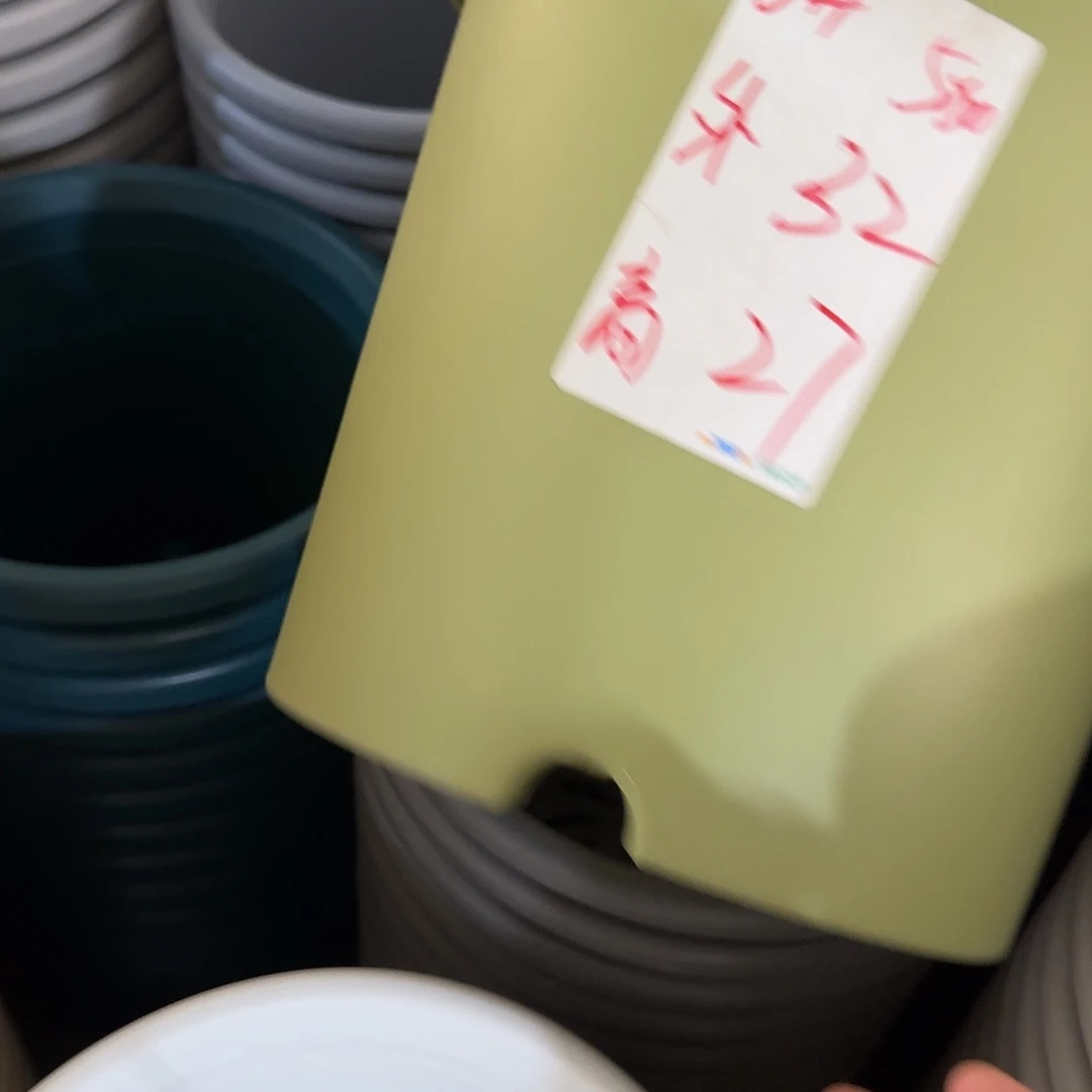 微瑕6号无托10个，果绿