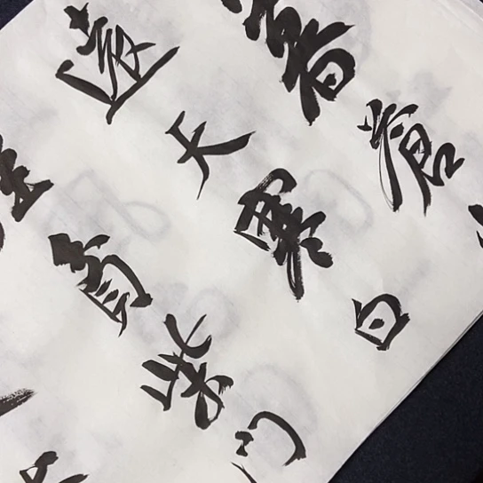 书法张建东老师书法作品