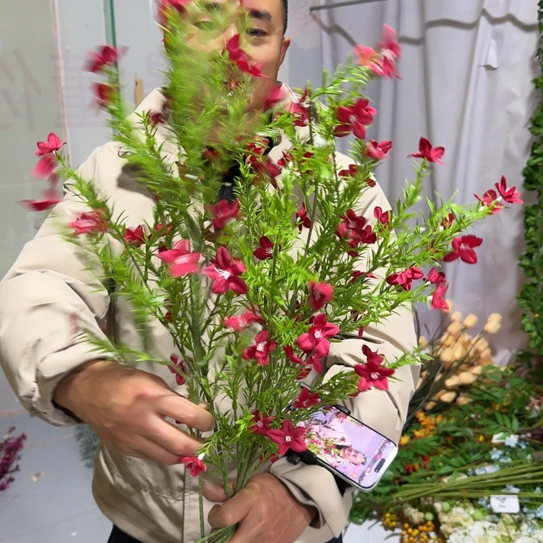 465号红色星星草10支