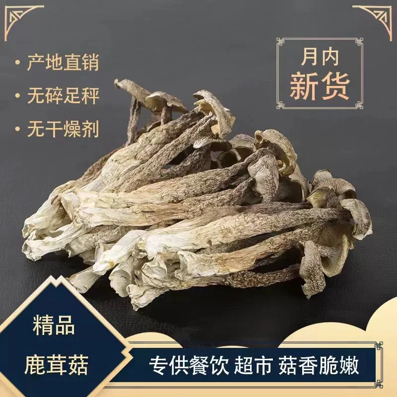 【滋补好物】云南山货鹿茸菇