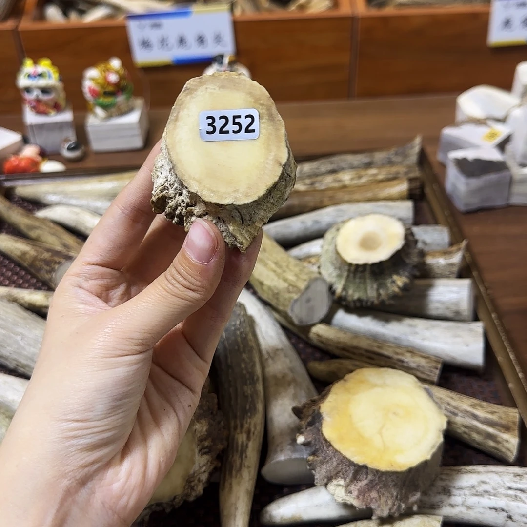 鹿骨手串/手链3252角帽