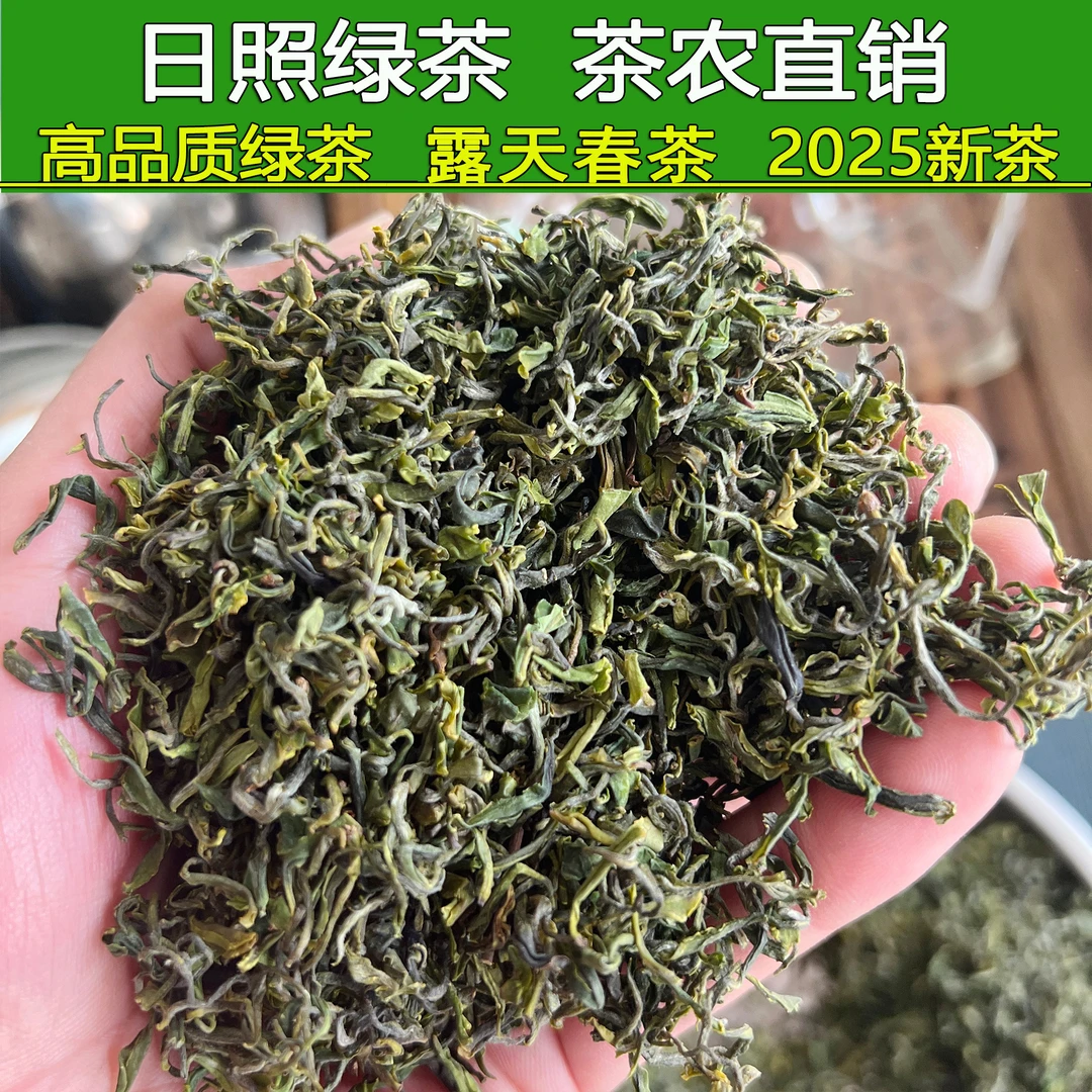 2025年日照绿茶巨峰露天春茶手工采摘炒制鲜爽回甘豆香板栗浓郁