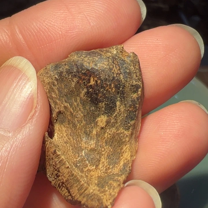 沉香木吊坠正*八十年代下树海南老沉香1.25克