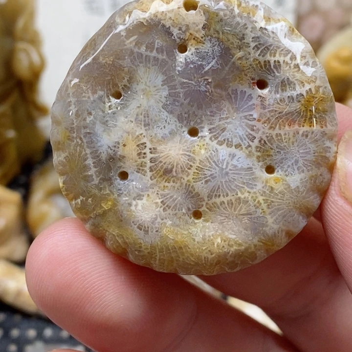 颈饰未镶嵌硅化珊瑚（珊瑚玉）有瑕