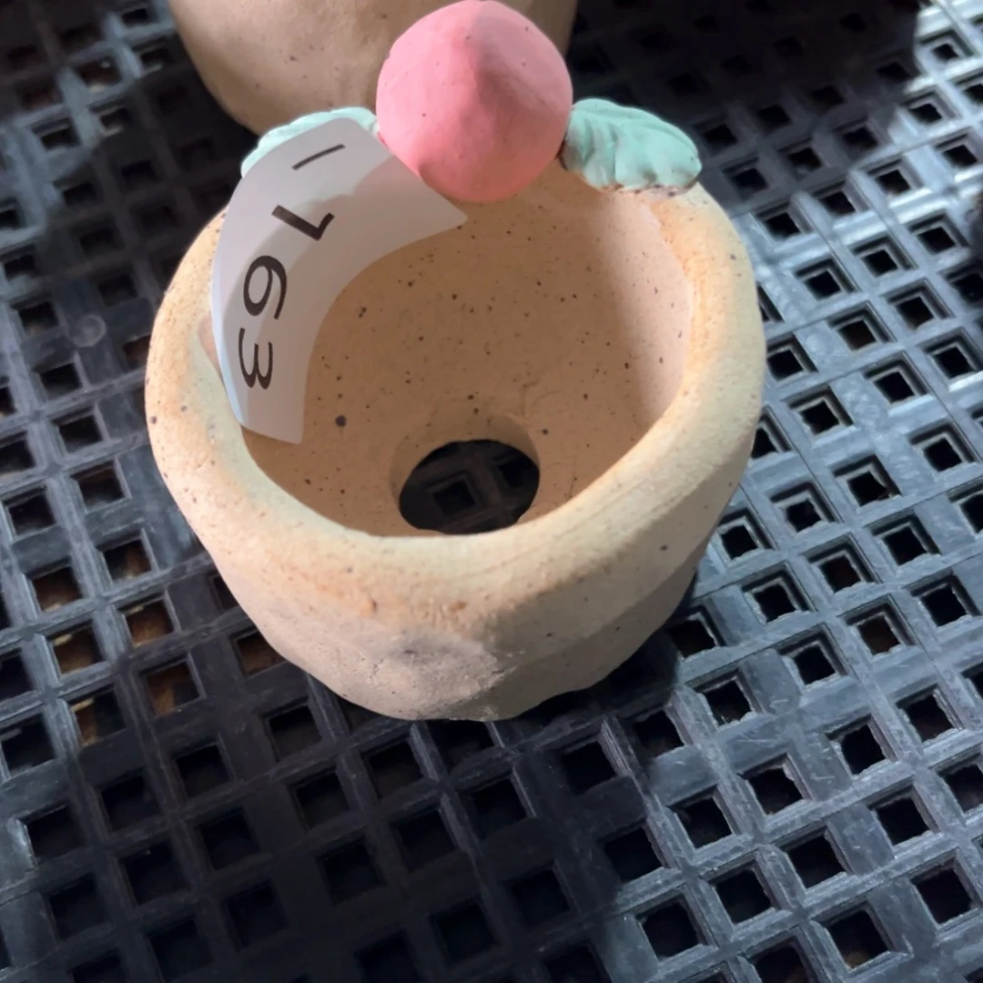 红陶163花盆  1个