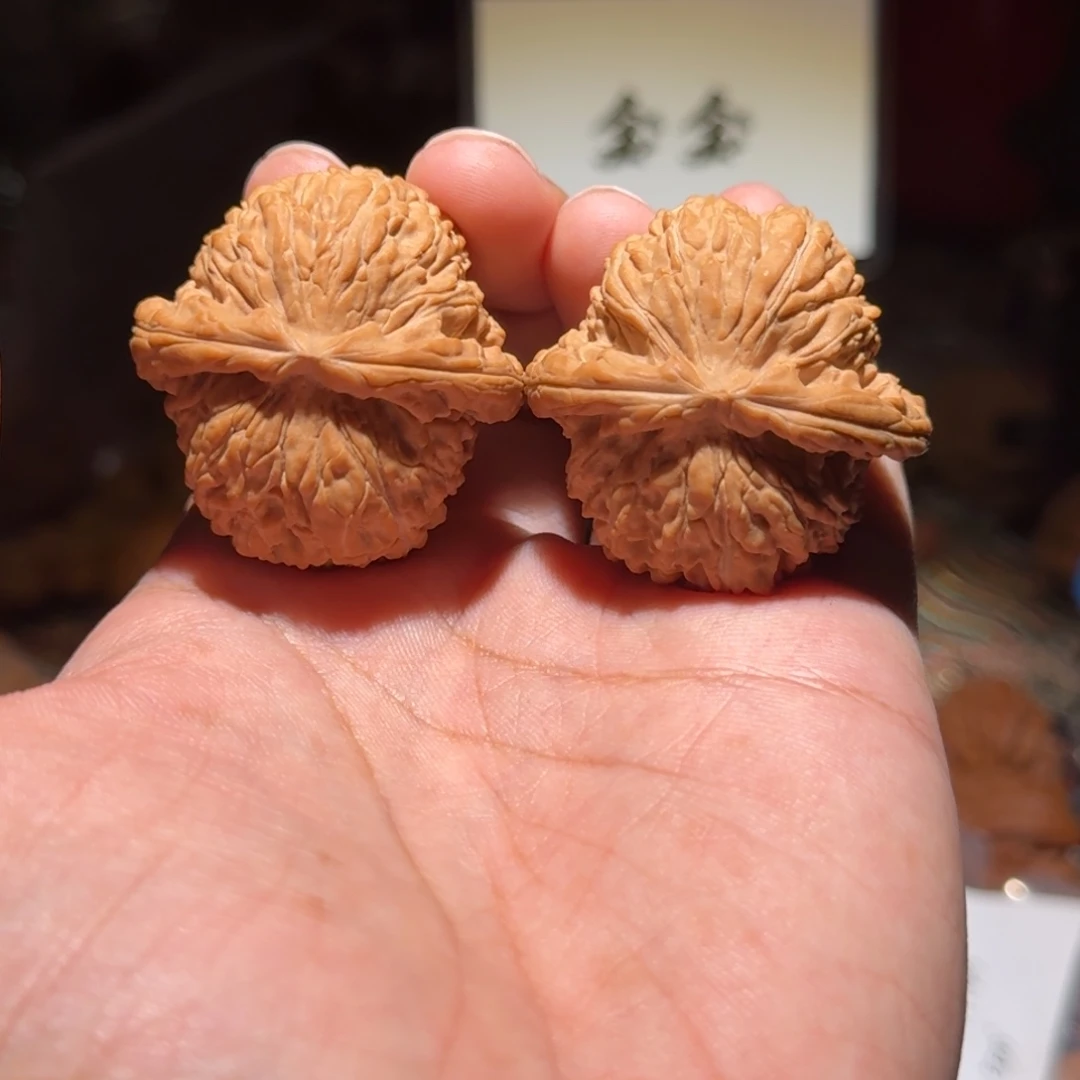 核桃把件812闷白，尺寸39