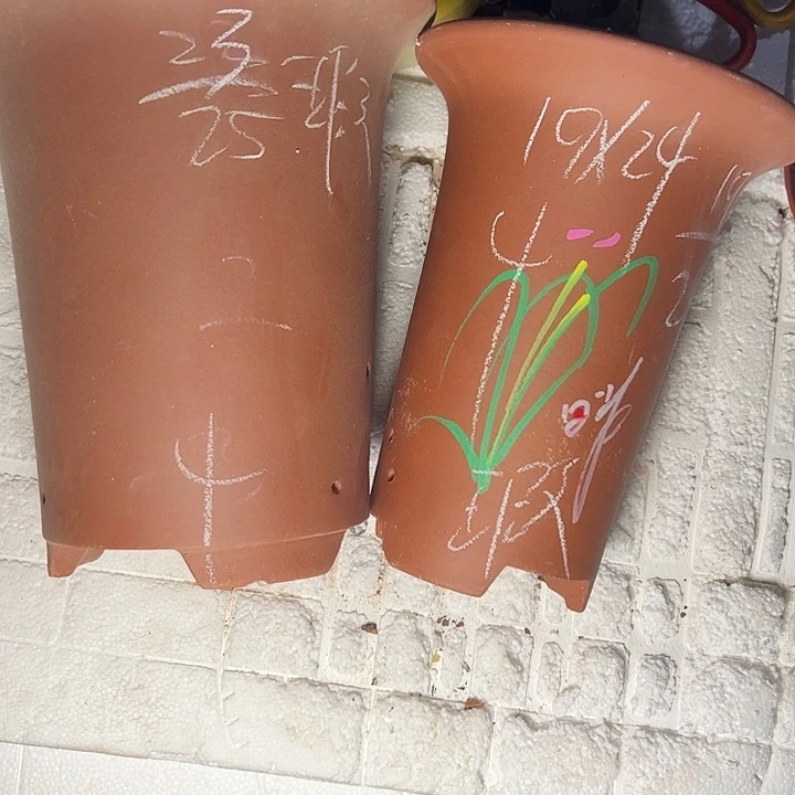 周三周四再说再说啧啧啧啧