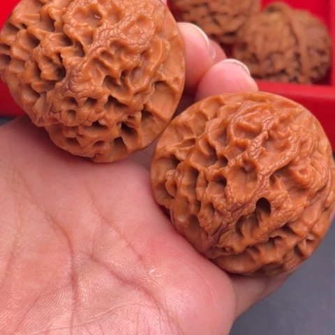 文玩核桃把件秦岭山脉核桃