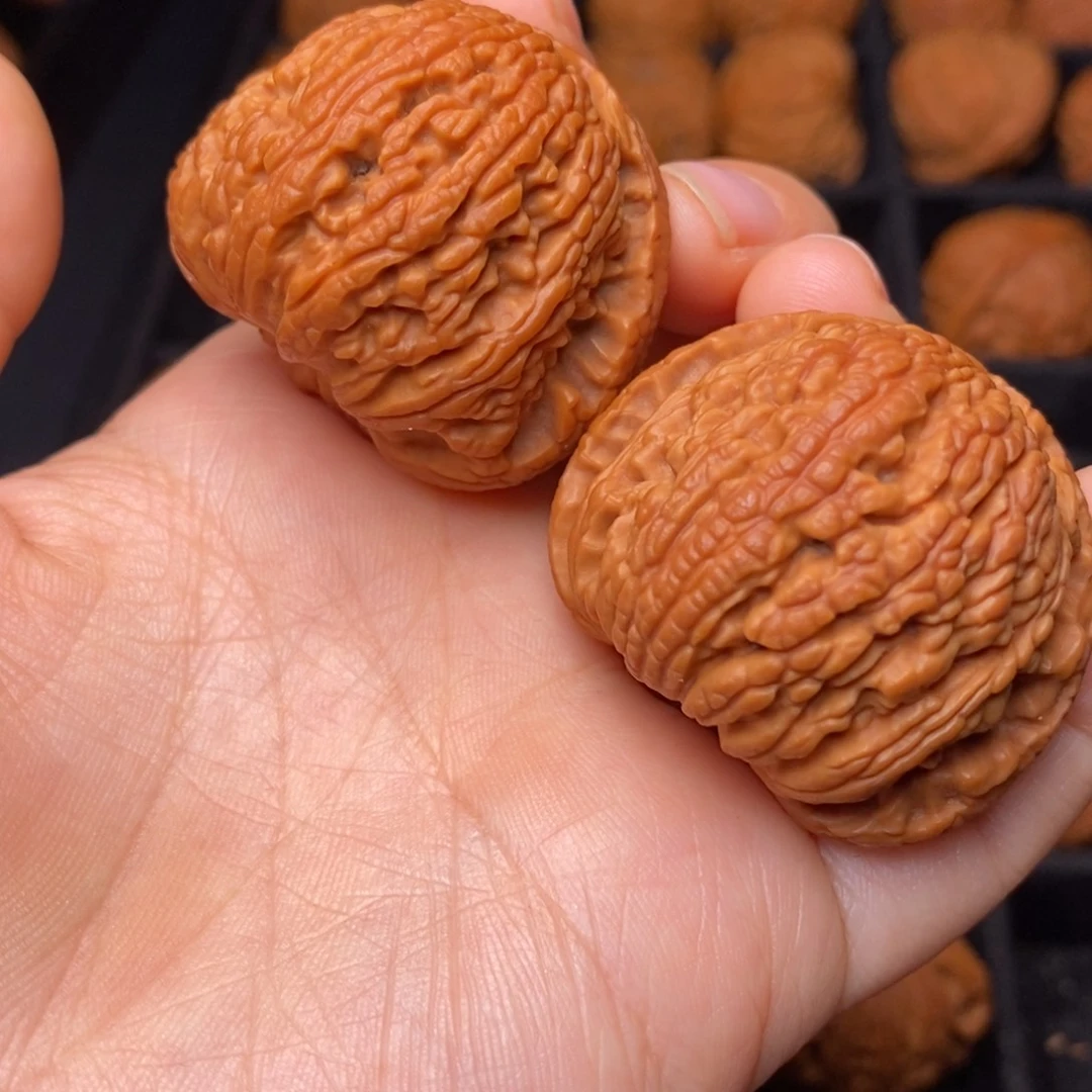 文玩核桃把件秦岭野生核桃