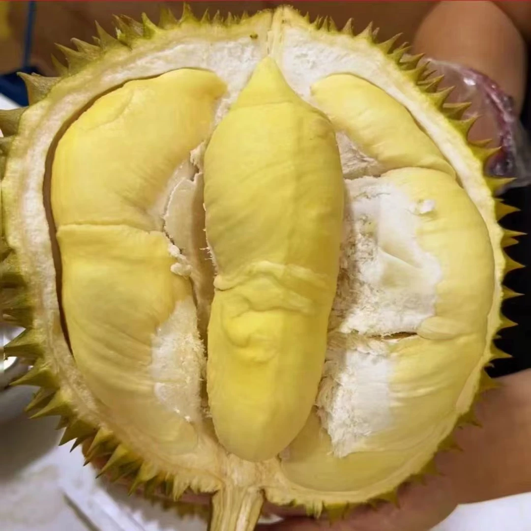 新鲜金枕榴莲3斤-10斤（核小，一物一拍）金枕越南