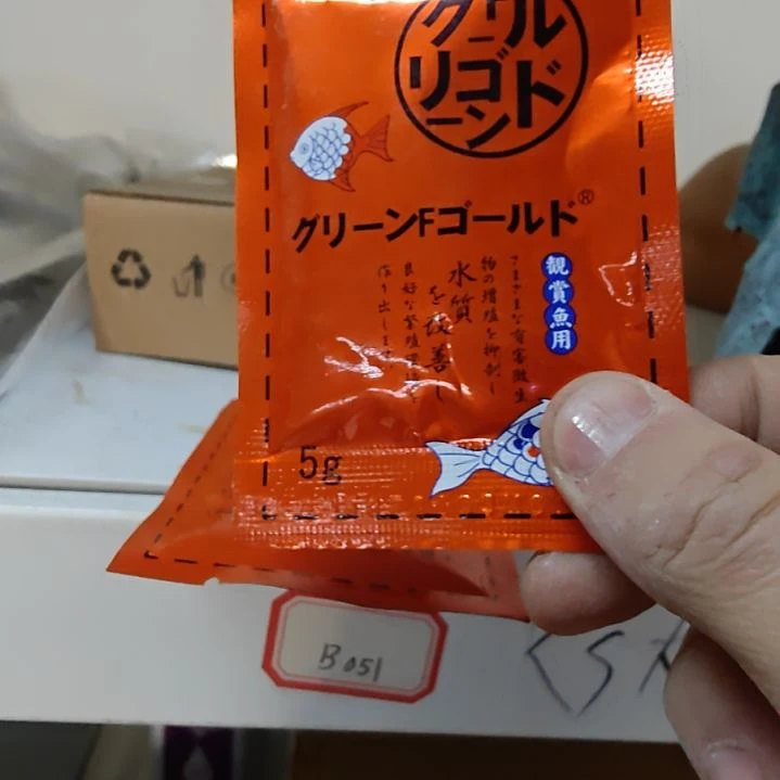 海星大禹德邦黄粉 3袋5g幢