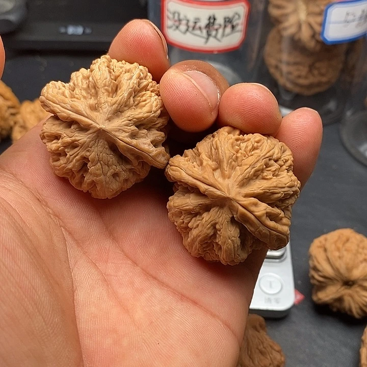 文玩核桃把件粗筋41