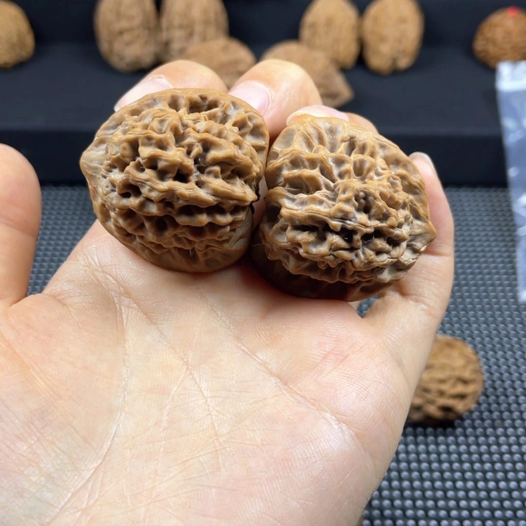 蝉**士秦岭神树秦闷小王