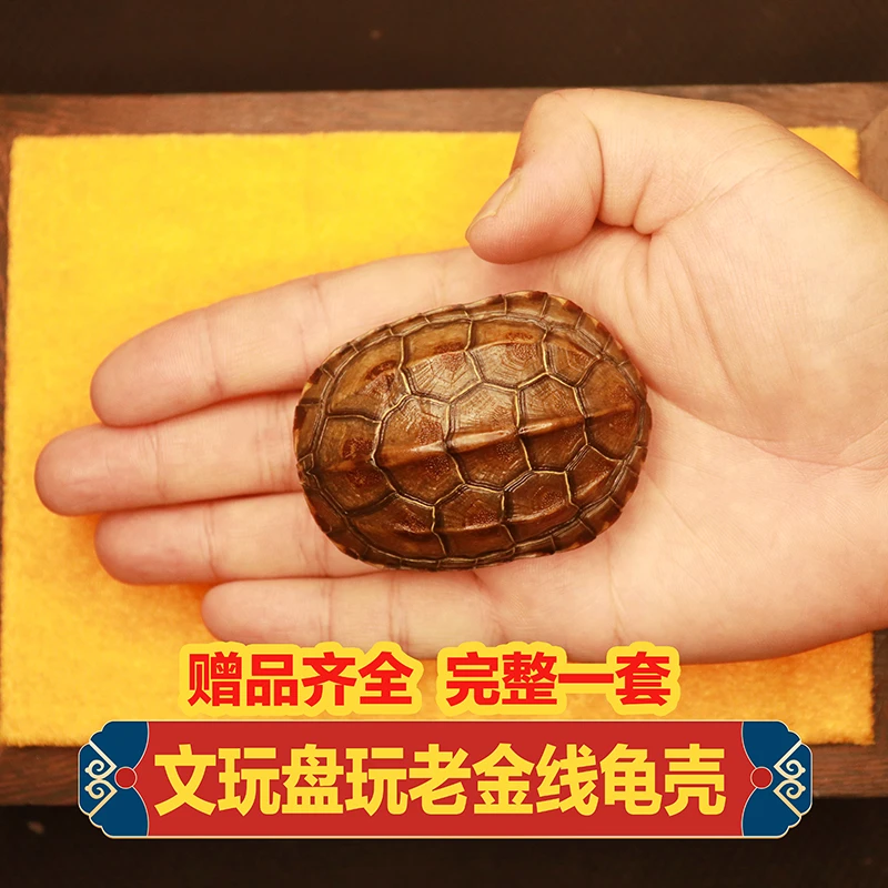 64卦牌易经扑克译文卦意周易经典双面防水启蒙铜钱文玩手把玩龟壳