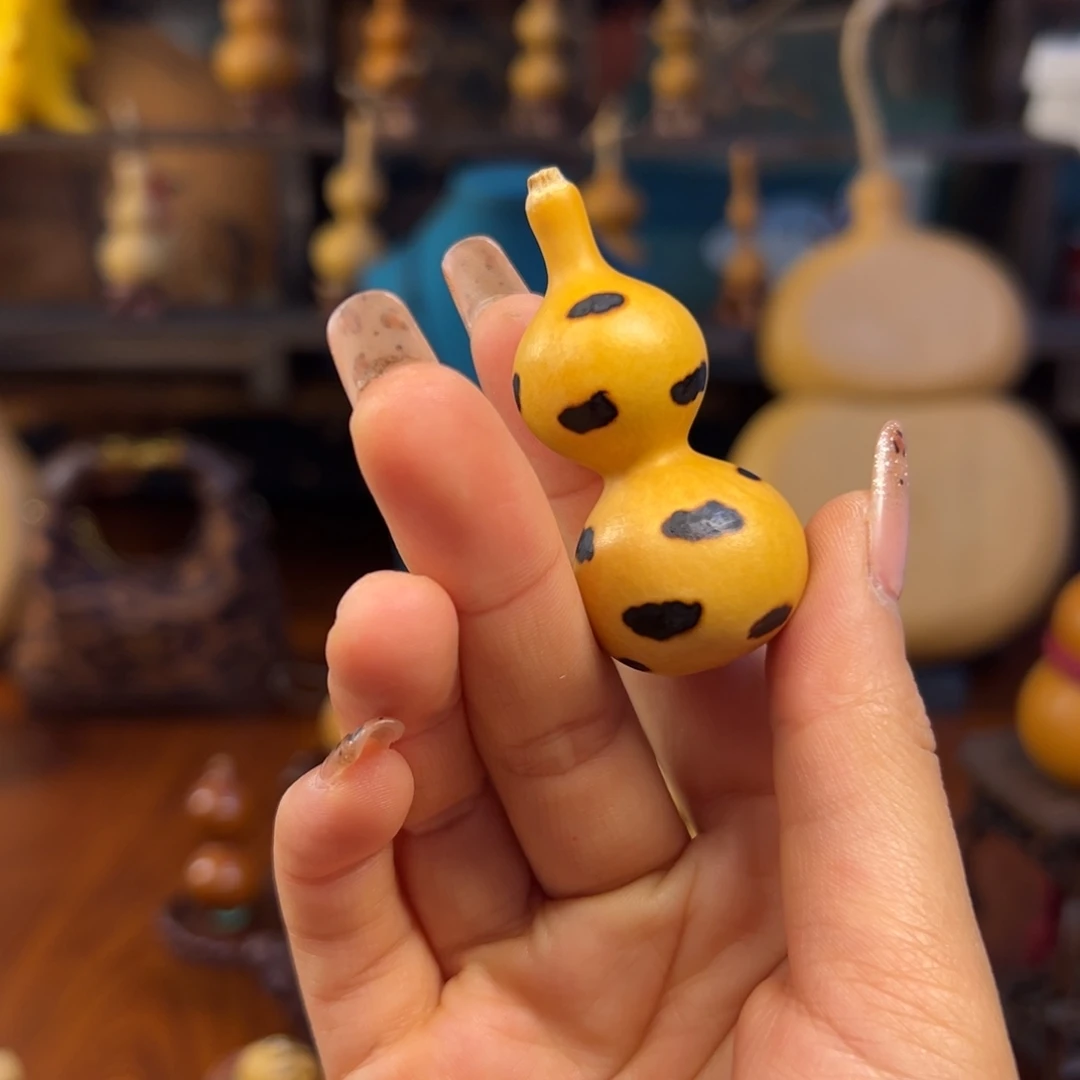 张***丽呼呼呼呼呼呼呼呼