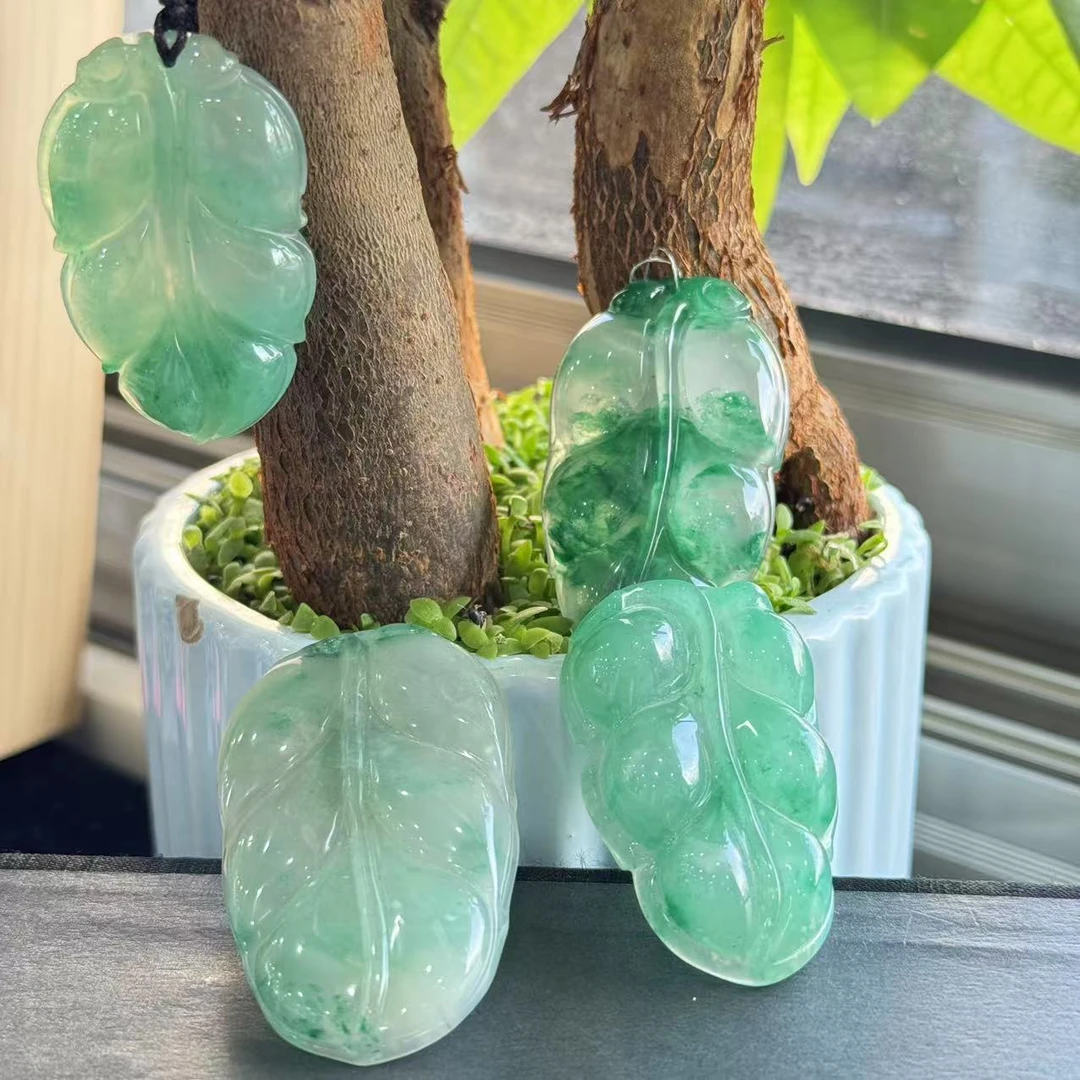 天然A货 非洲翠 大叶子CP（多样性发1）